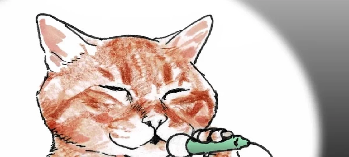 مانگا "Mon-chan to Watashi" با دو چپتر دیگر به پایان میرسد